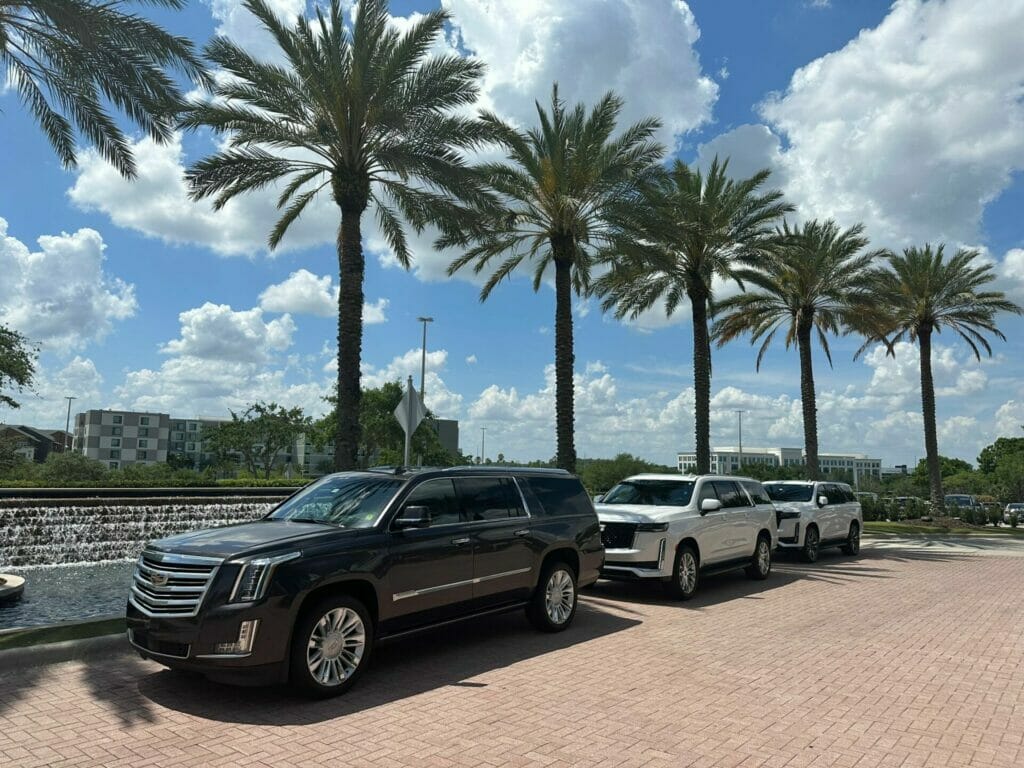 Parked cars offering airport transfer services line a brick pavement beside a water feature with palm trees under a partly cloudy sky.